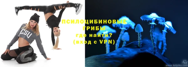 ешки Пестово