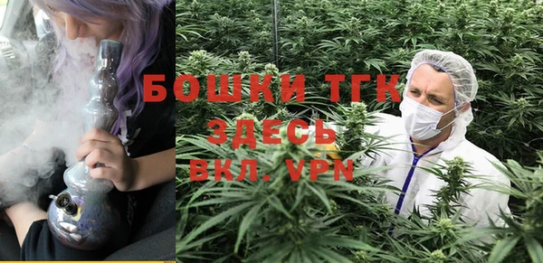 PSILOCYBIN Переславль-Залесский