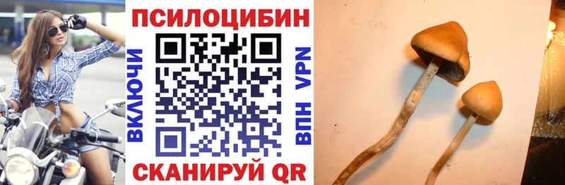 blacksprut ТОР  Новодвинск  Псилоцибиновые грибы прущие грибы 